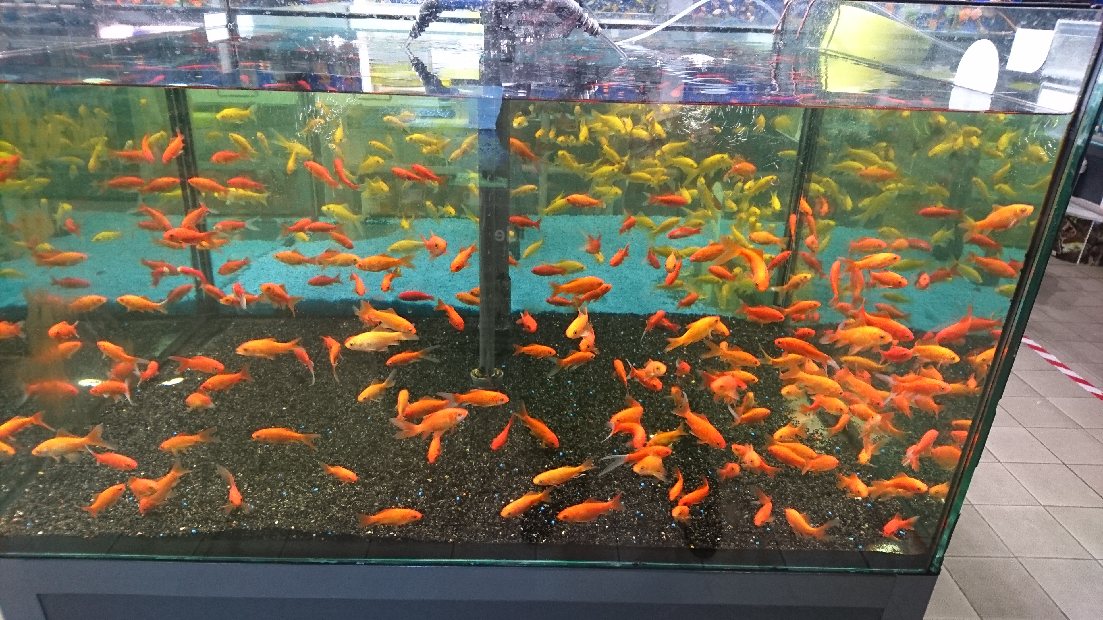Photo n° 2 de l'avis de Pascale.o fait le 02/12/2017 à 13:02
