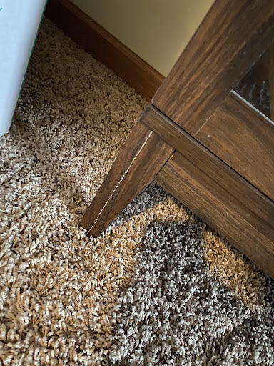 Moving Company «Local Motion Moving Company», reviews and photos, 8625 Monticello Ln N, Maple Grove, MN 55369, USA