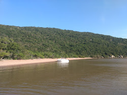 Praia do Sitio'in fotoğrafı vahşi alan