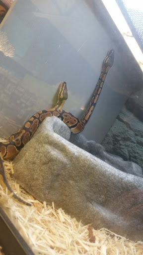 Pet Supply Store «Petco Animal Supplies», reviews and photos, 1619 SE Ensign Ln, Warrenton, OR 97146, USA