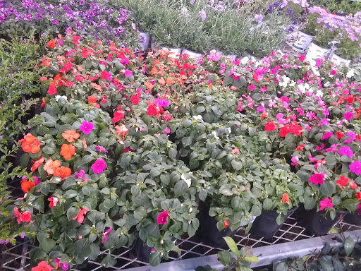 Home Improvement Store «The Home Depot», reviews and photos, 435 W Katella Ave, Orange, CA 92867, USA