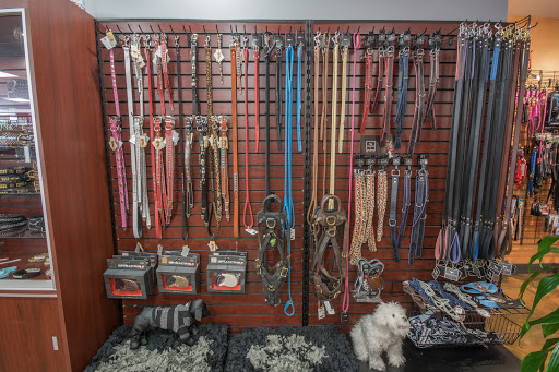 Pet Supply Store «Modern Pet», reviews and photos, 212-77 26th Ave, Bayside, NY 11360, USA