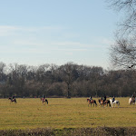Photo n°15 de l'avis de Pasquale.i fait le 31/05/2021 à 20:39 sur le  Cascina Frutteto à Monza