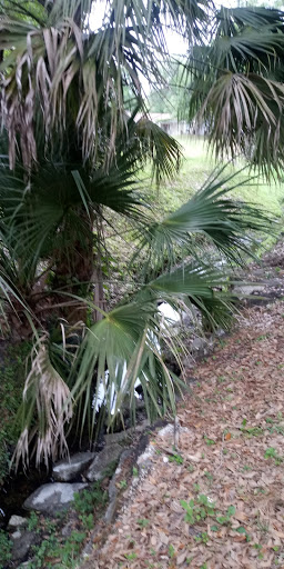 Park «Henry & Ola Park», reviews and photos, 502 W Henry Ave, Tampa, FL 33604, USA