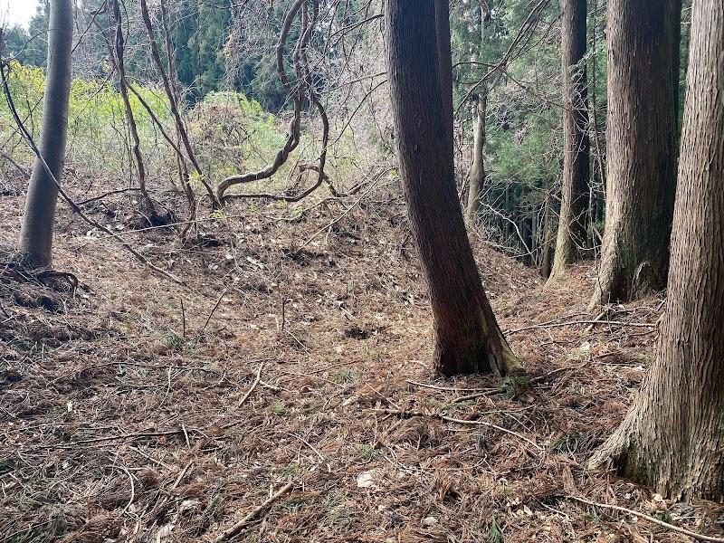 愛宕山城 (碓氷城) 跡