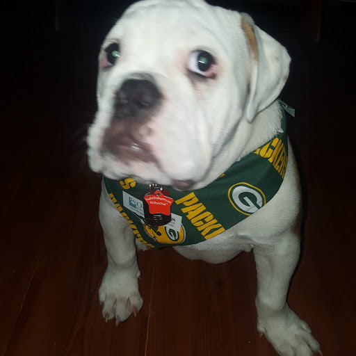 Pet Supply Store «Petco Animal Supplies», reviews and photos, 8551 S Howell Ave, Oak Creek, WI 53154, USA