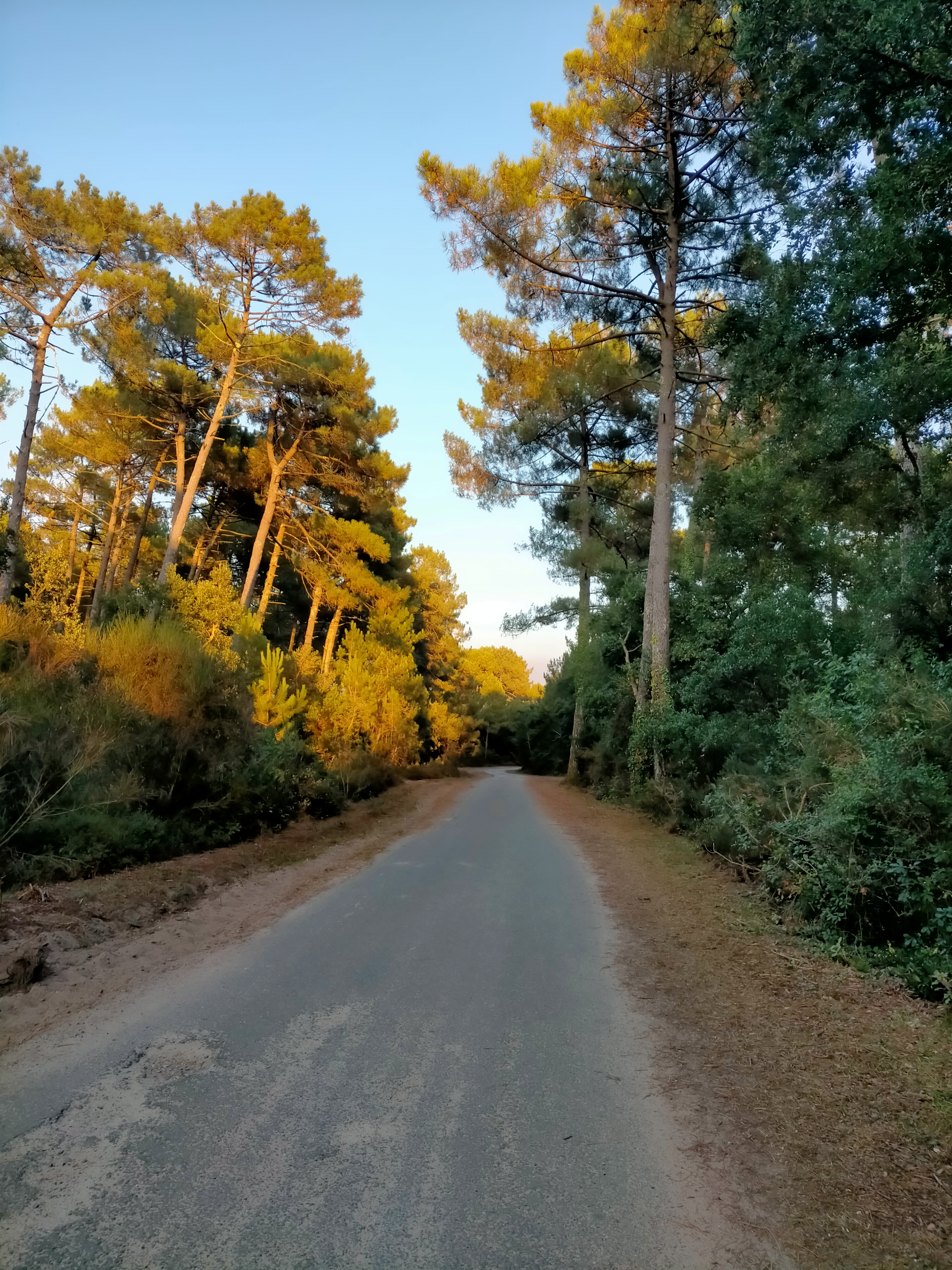 Photo n° 8 de l'avis de Corinne.o fait le 30/08/2021 à 08:46