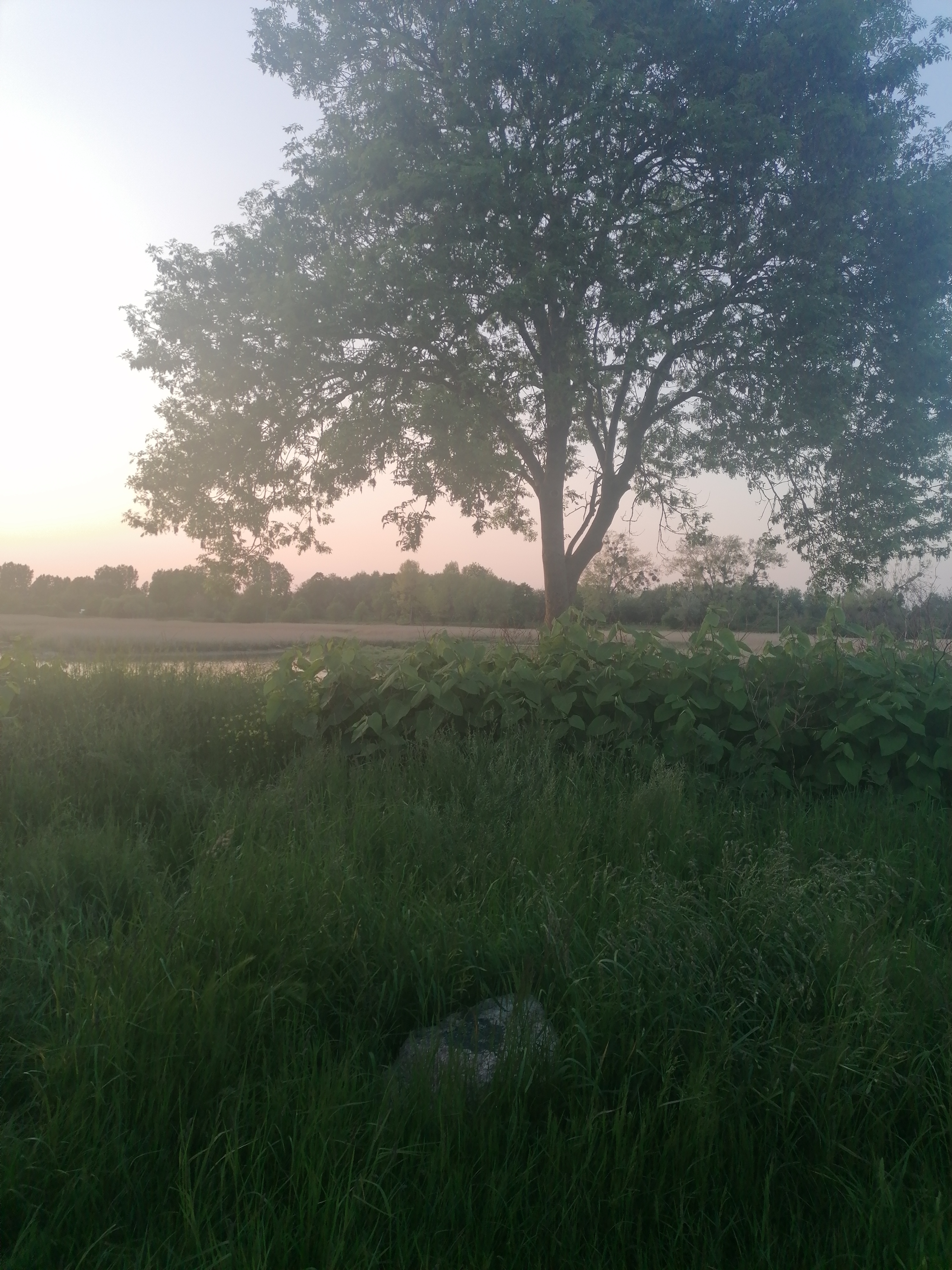 Photo n° 2 de l'avis de Jeanjacques.i fait le 16/05/2023 à 19:22