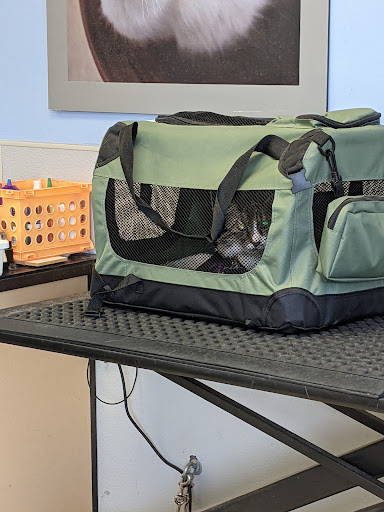 Pet Supply Store «Petco Animal Supplies», reviews and photos, 4440 Rib Mountain Dr, Wausau, WI 54401, USA