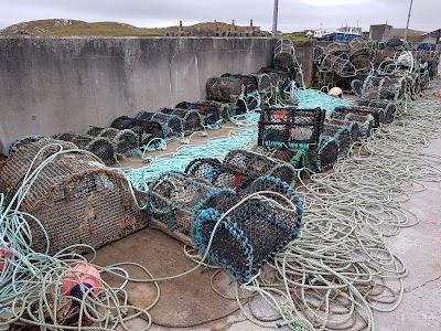 Photos of Skellig Boats