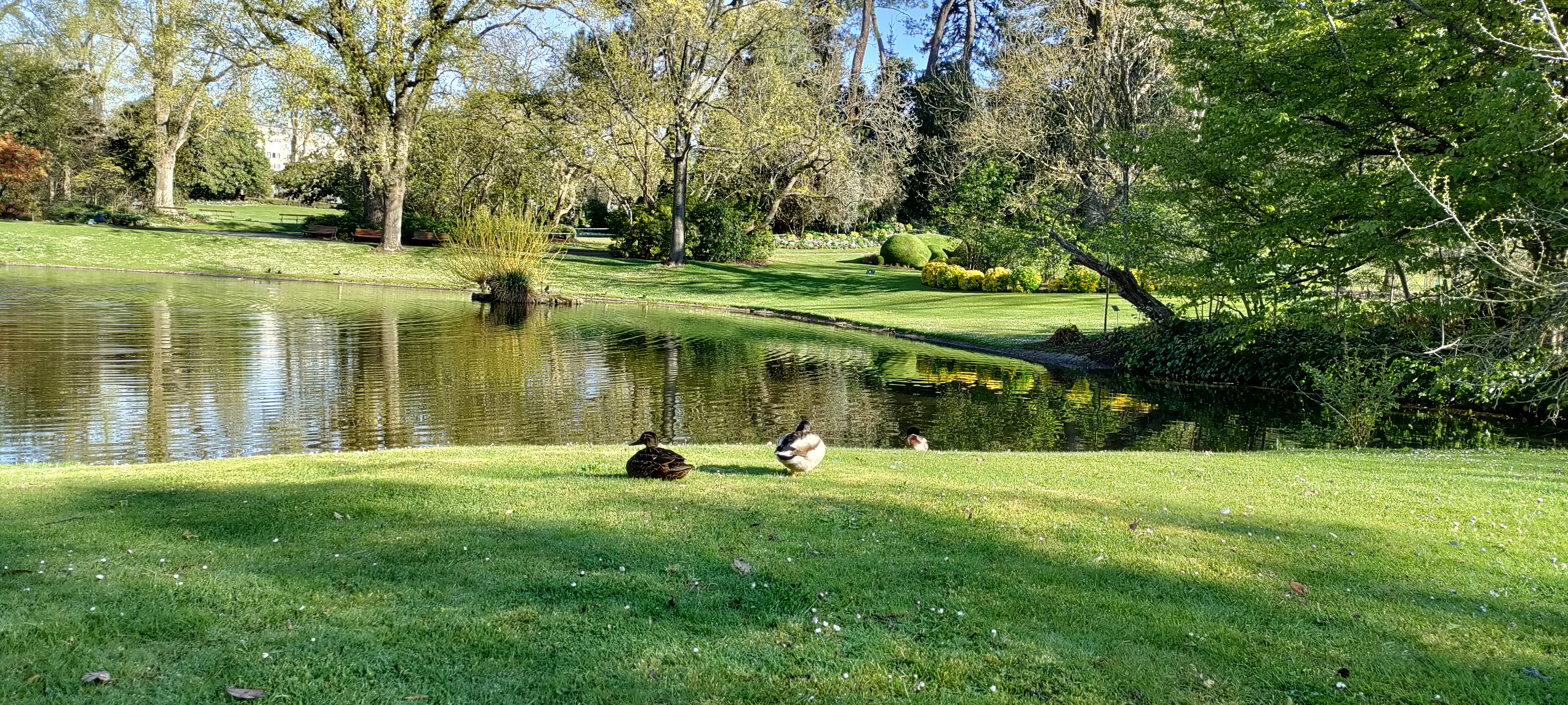 Photo n° 7 de l'avis de Laëtitia.e fait le 10/04/2023 à 09:21