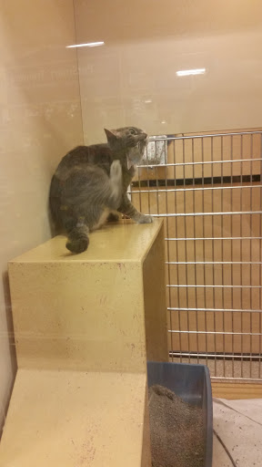 Pet Supply Store «PetSmart», reviews and photos, 2718 Legends Pkwy, Prattville, AL 36066, USA