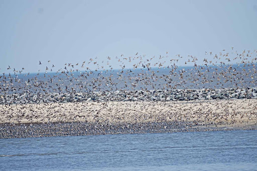 Nature Preserve «DuPont Nature Center», reviews and photos, 2992 Lighthouse Rd, Milford, DE 19963, USA