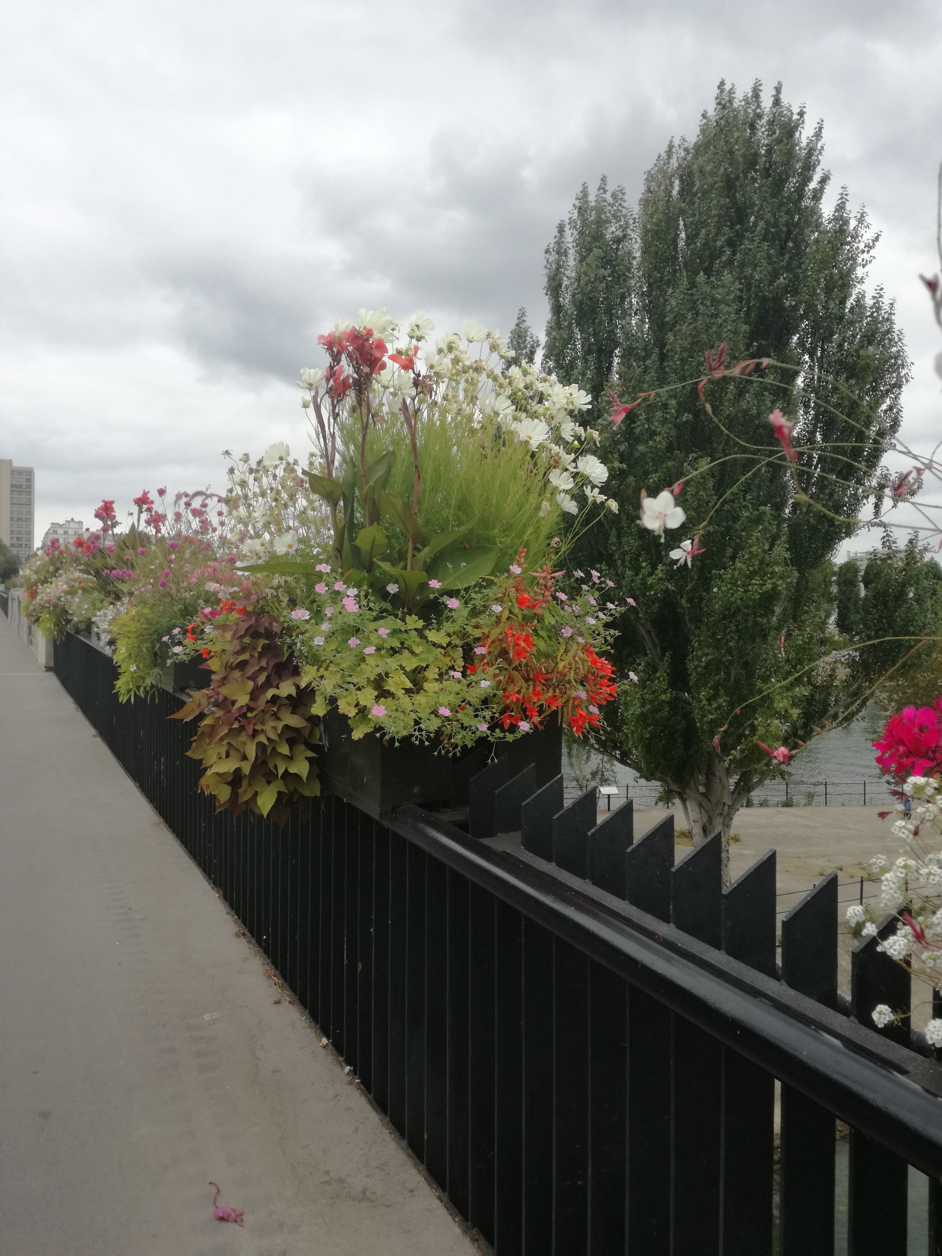 Photo n° 2 de l'avis de Seynabou.i fait le 09/06/2019 à 15:27