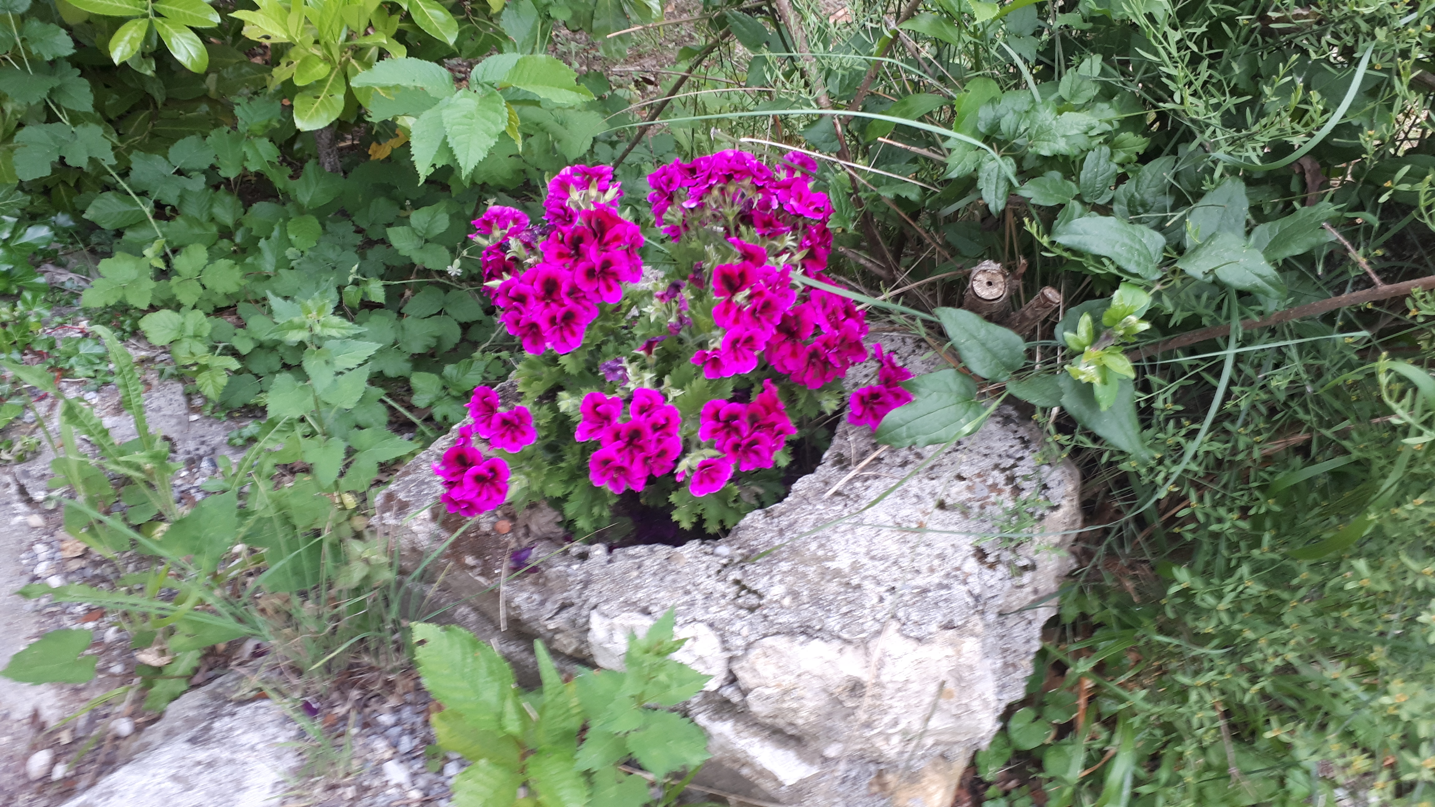 Photo n° 4 de l'avis de Francoise.e fait le 15/06/2019 à 04:38