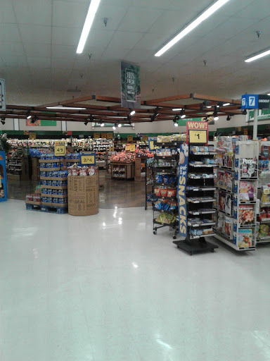 Grocery Store «Food Lion», reviews and photos, 3344 Hayman Dr, Federalsburg, MD 21632, USA