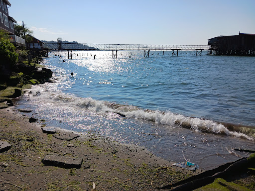 Grocery Store «Safeway», reviews and photos, 3250 Leif Erikson Dr, Astoria, OR 97103, USA