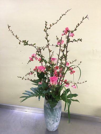 Florist «Orchid Florist», reviews and photos, 1768 Solano Ave, Berkeley, CA 94707, USA