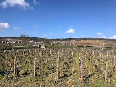 SarmEnergie à Gilly-lès-Cîteaux