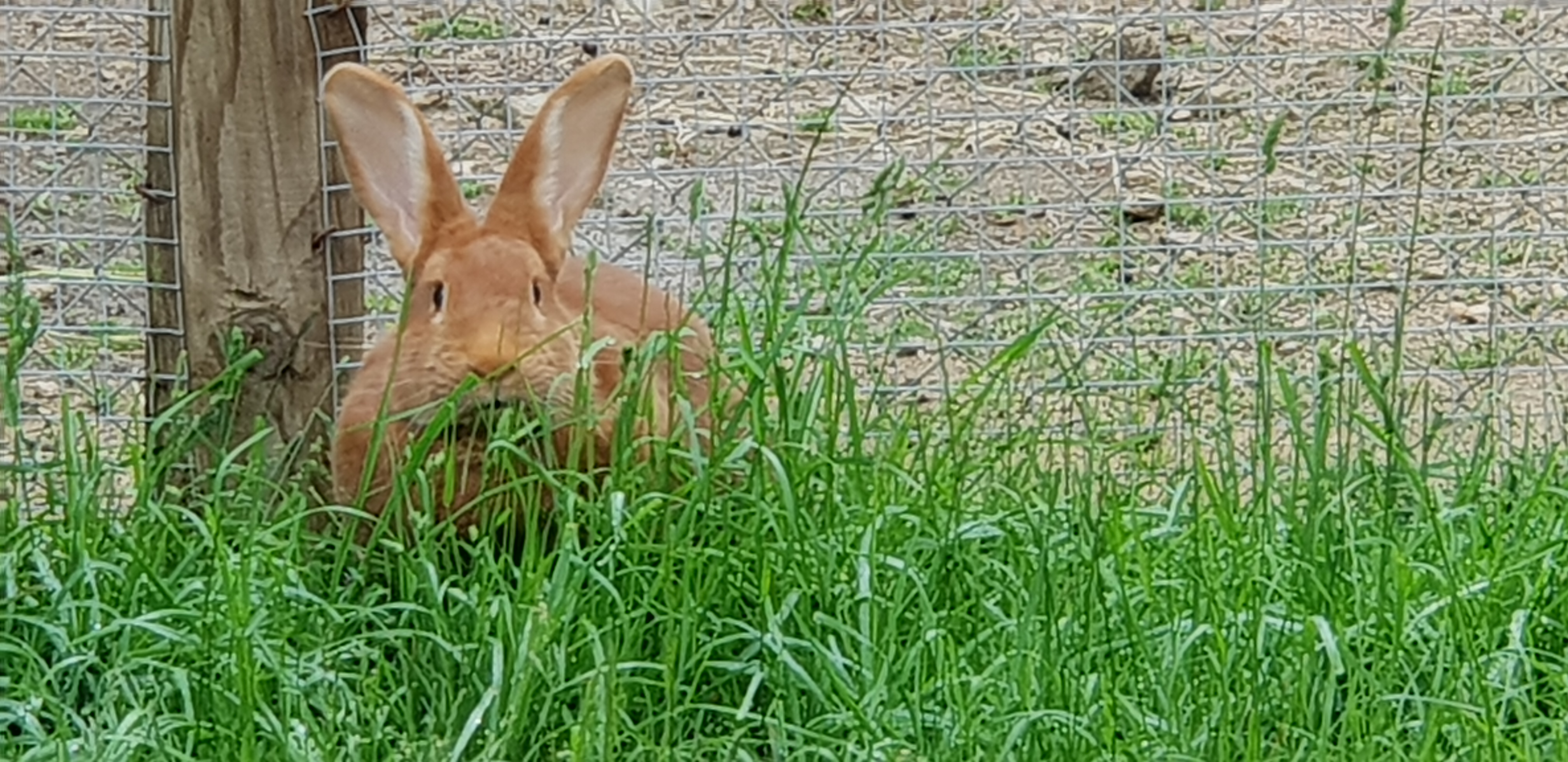 Photo n° 11 de l'avis de Lady.a fait le 24/05/2018 à 16:49