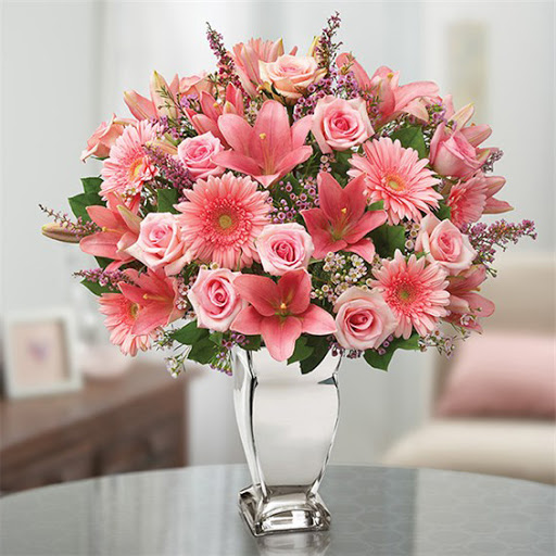 Florist «J & J Flowers and Gifts Shop», reviews and photos, 8366 Pines Blvd, Pembroke Pines, FL 33024, USA