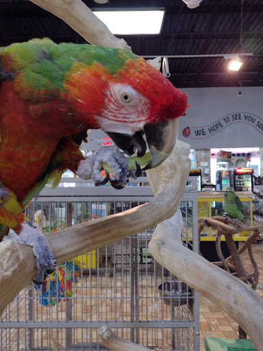 Pet Store «Exotic Tropical Petworld LLC.», reviews and photos, 1716 W Hackberry Ave, McAllen, TX 78501, USA