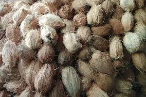 Pundarika Coconuts image