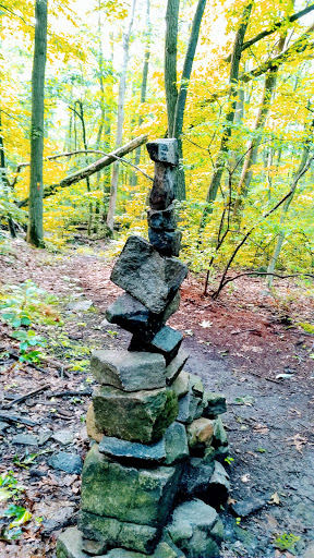 Community Center «Kaplen JCC on the Palisades», reviews and photos, 411 E Clinton Ave, Tenafly, NJ 07670, USA