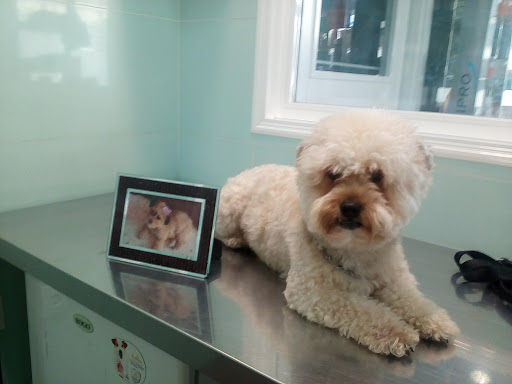 Four Paws Clínica Veterinaria en Puerto Real