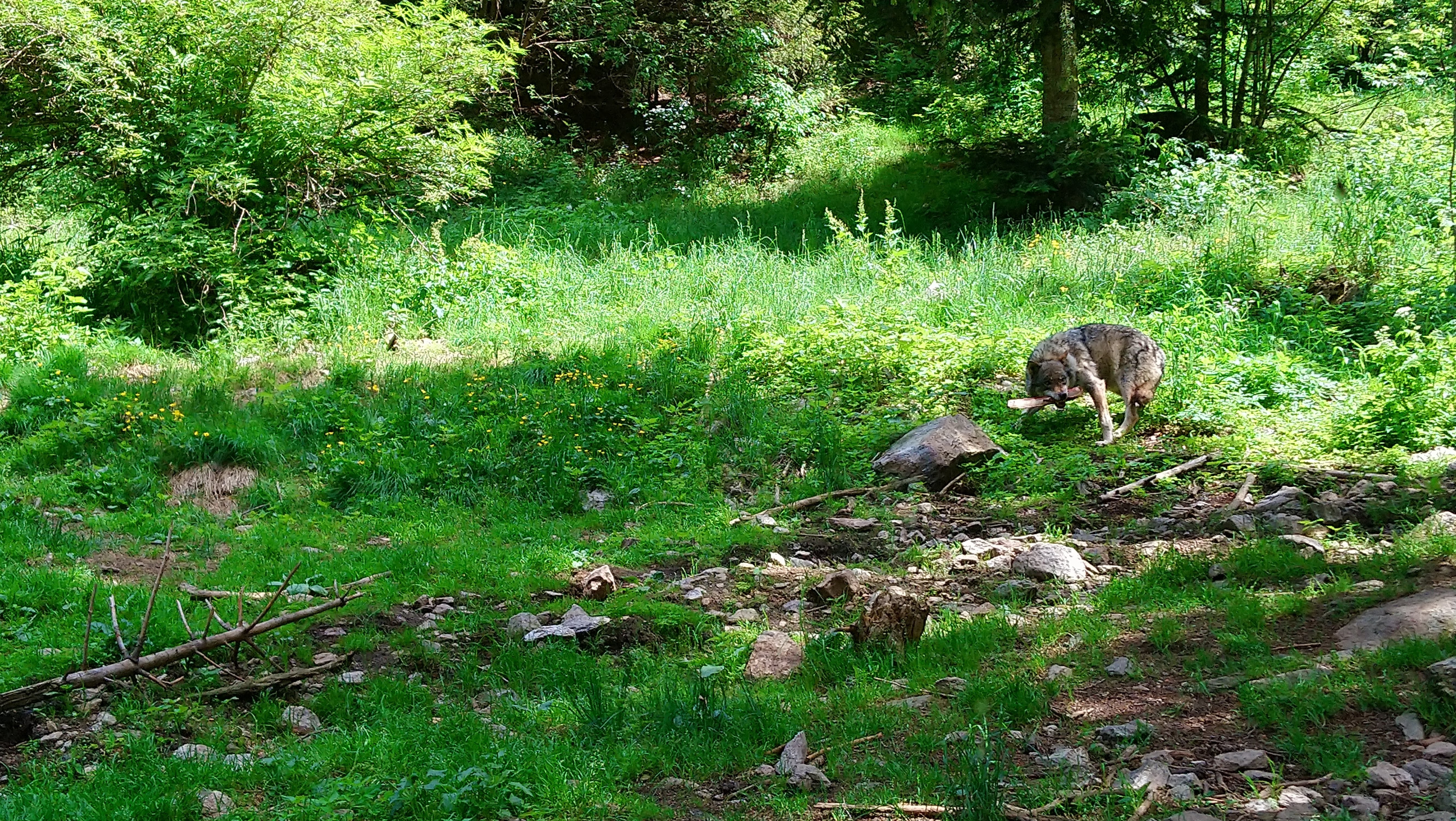 Photo n° 23 de l'avis de CHRISTOPHE. fait le 02/08/2019 à 07:51