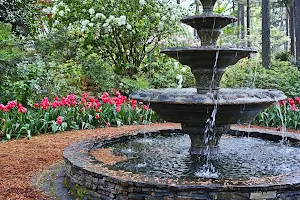 WRAL Azalea Garden image