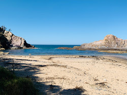 Guerilla Small Beach'in fotoğrafı geniş bir kıyı şeridi ile birlikte