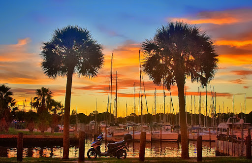 Motorcycle Dealer «Pinellas Powersports», reviews and photos, 9145 66th St N, Pinellas Park, FL 33782, USA