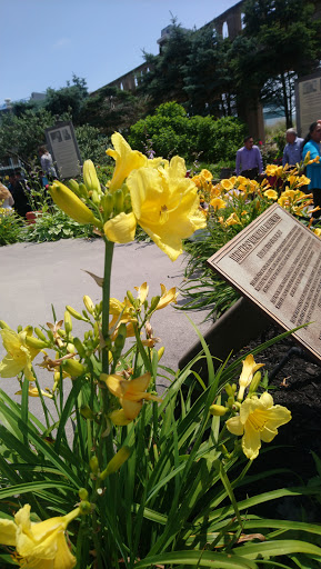 Convention Center «Atlantic City Convention & Visitors Authority», reviews and photos, 2314 Pacific Ave, Atlantic City, NJ 08401, USA