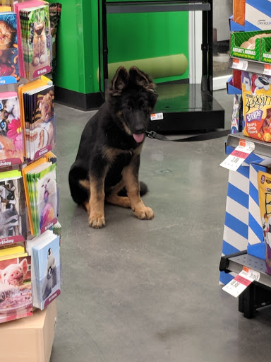 Pet Supply Store «Pet Supplies Plus», reviews and photos, 21703 Village Lakes Shopping Center Dr, Land O Lakes, FL 34639, USA