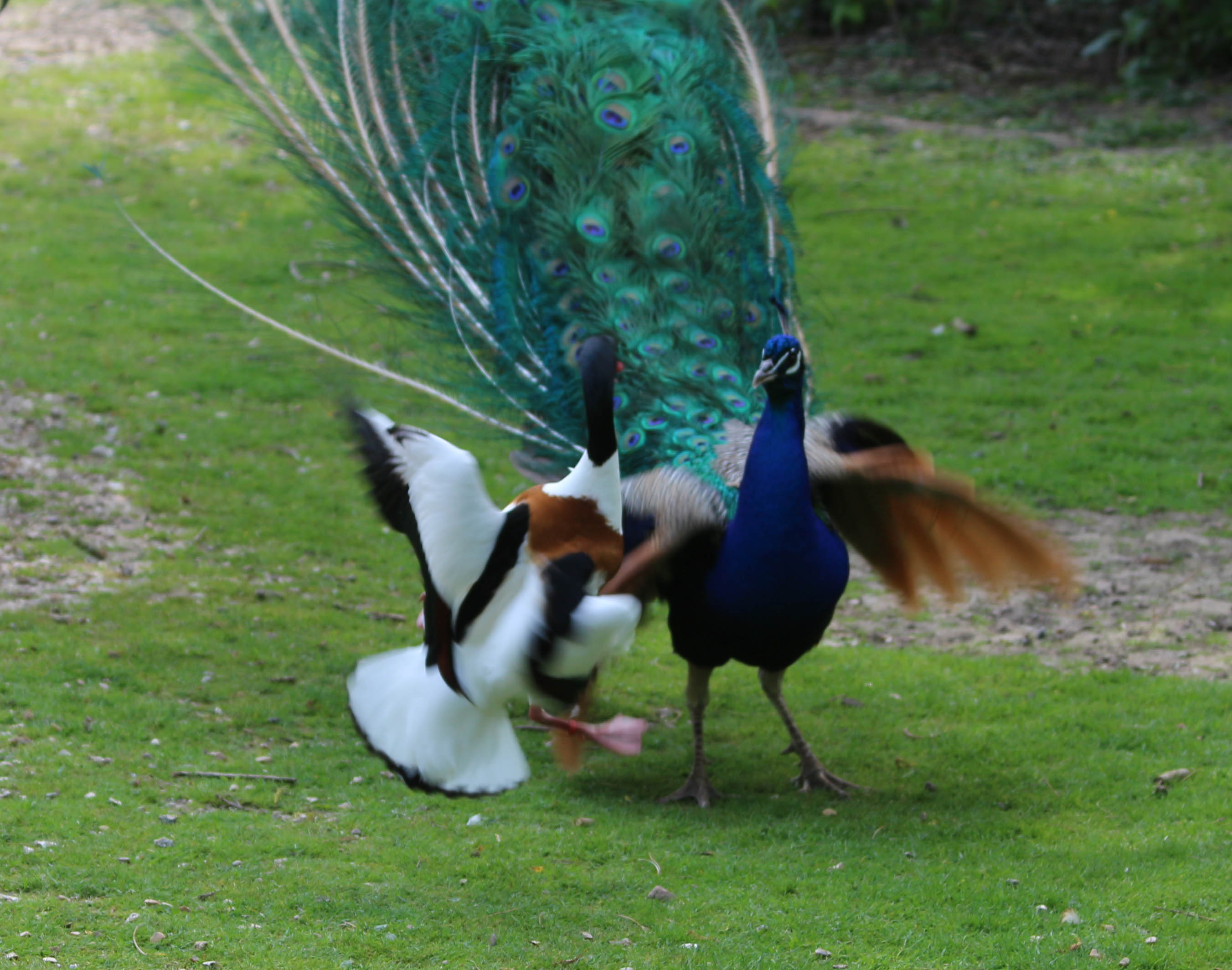 Photo n° 10 de l'avis de Laurent. fait le 05/08/2022 à 12:06