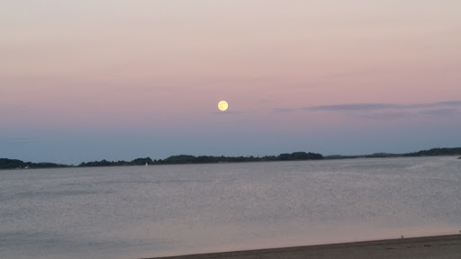 Community Center «Curley Community Center», reviews and photos, 1663 Columbia Rd, Boston, MA 02127, USA