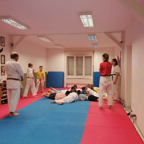 Értékelések erről a helyről: Rákosmenti Karate Sportegyesület, Budapest - Edzőterem