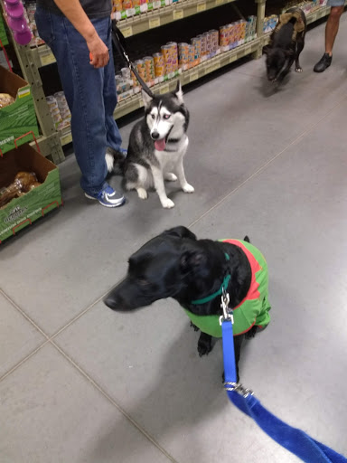 Pet Supply Store «Care-A-Lot Pet Supply Indian River», reviews and photos, 5457 Indian River Rd, Virginia Beach, VA 23464, USA