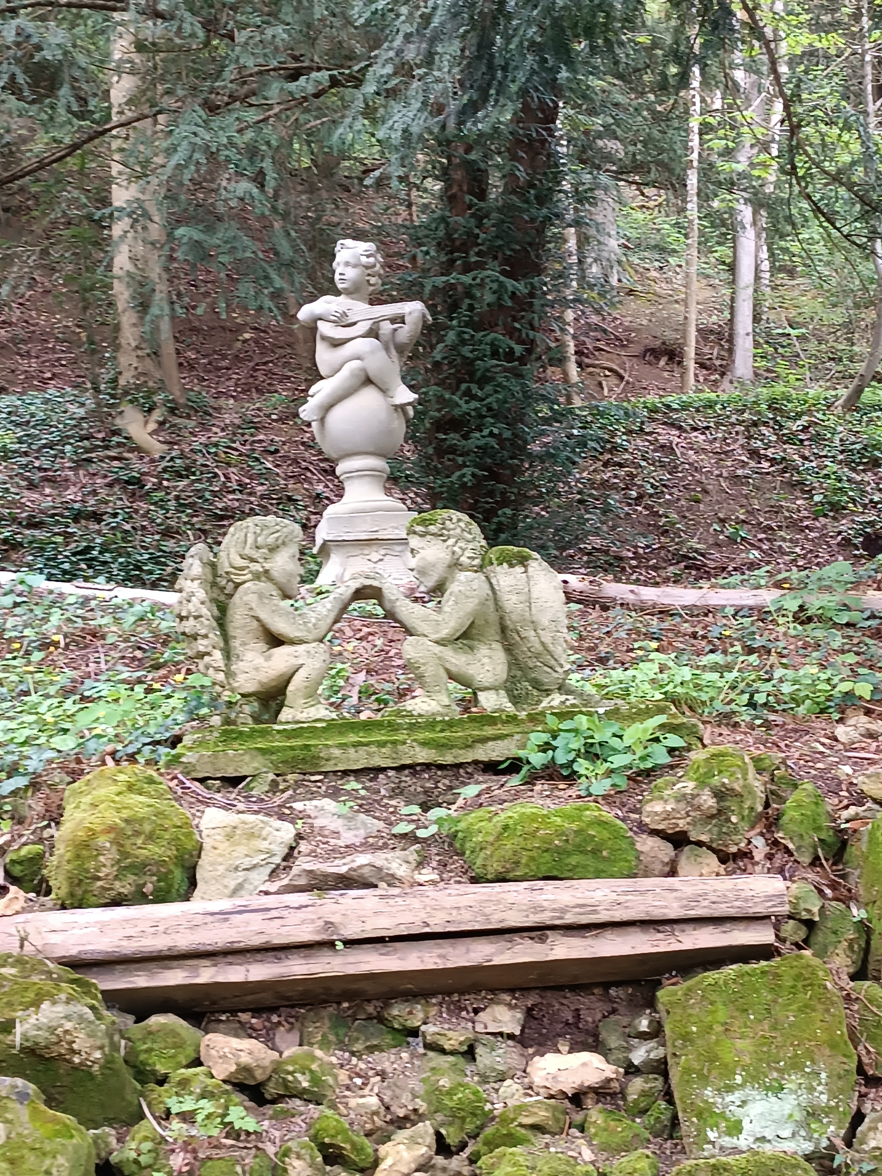 Photo n° 4 de l'avis de Vivi87. fait le 17/04/2023 à 16:01