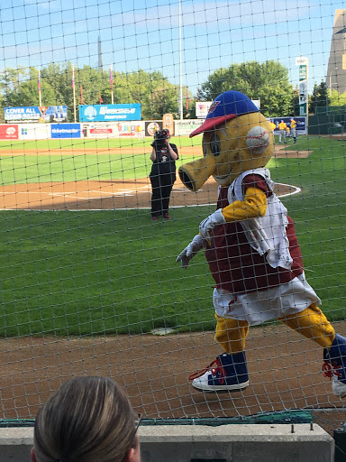 Winnipeg Goldeyes Baseball Club