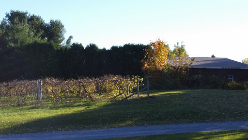 Winery «Charlotte Village Winery», reviews and photos, 3968 Greenbush Rd, Charlotte, VT 05445, USA