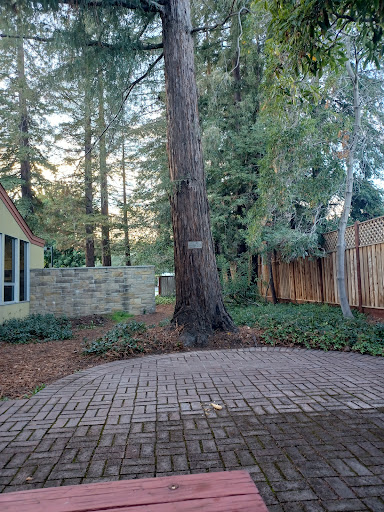 Woodland Branch Library image