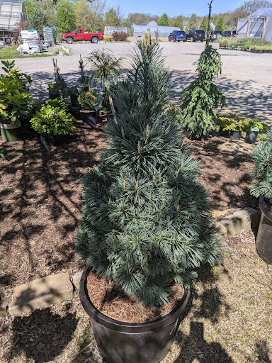 Garden Center «Quality Gardens», reviews and photos, 409 PA-228, Valencia, PA 16059, USA