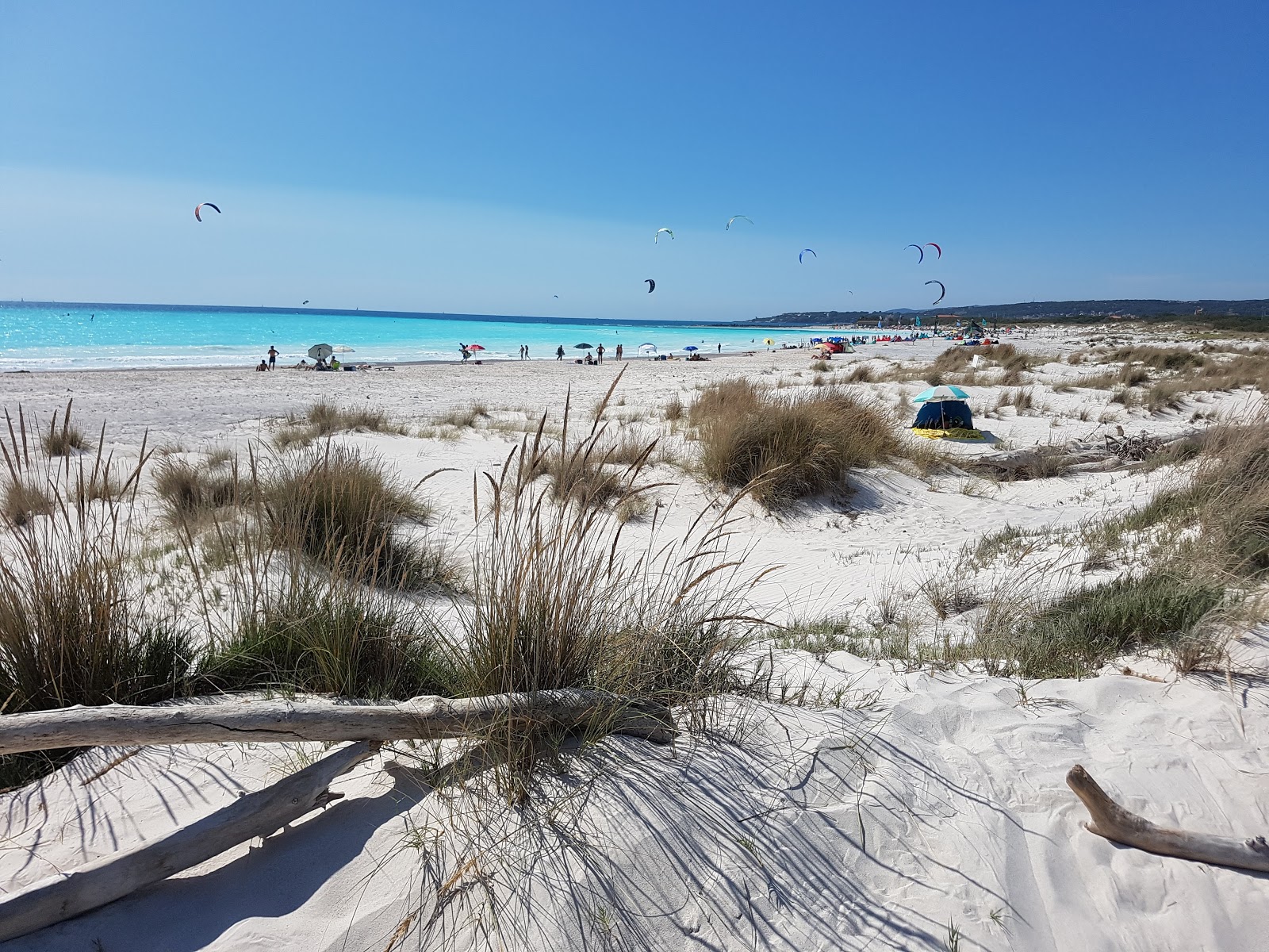 Rosignano Solvay spiaggia bianche photo #8