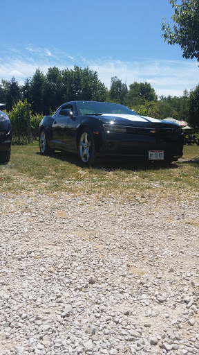 Vineyard «Harpersfield Vineyard», reviews and photos, 6387 OH-307, Geneva, OH 44041, USA