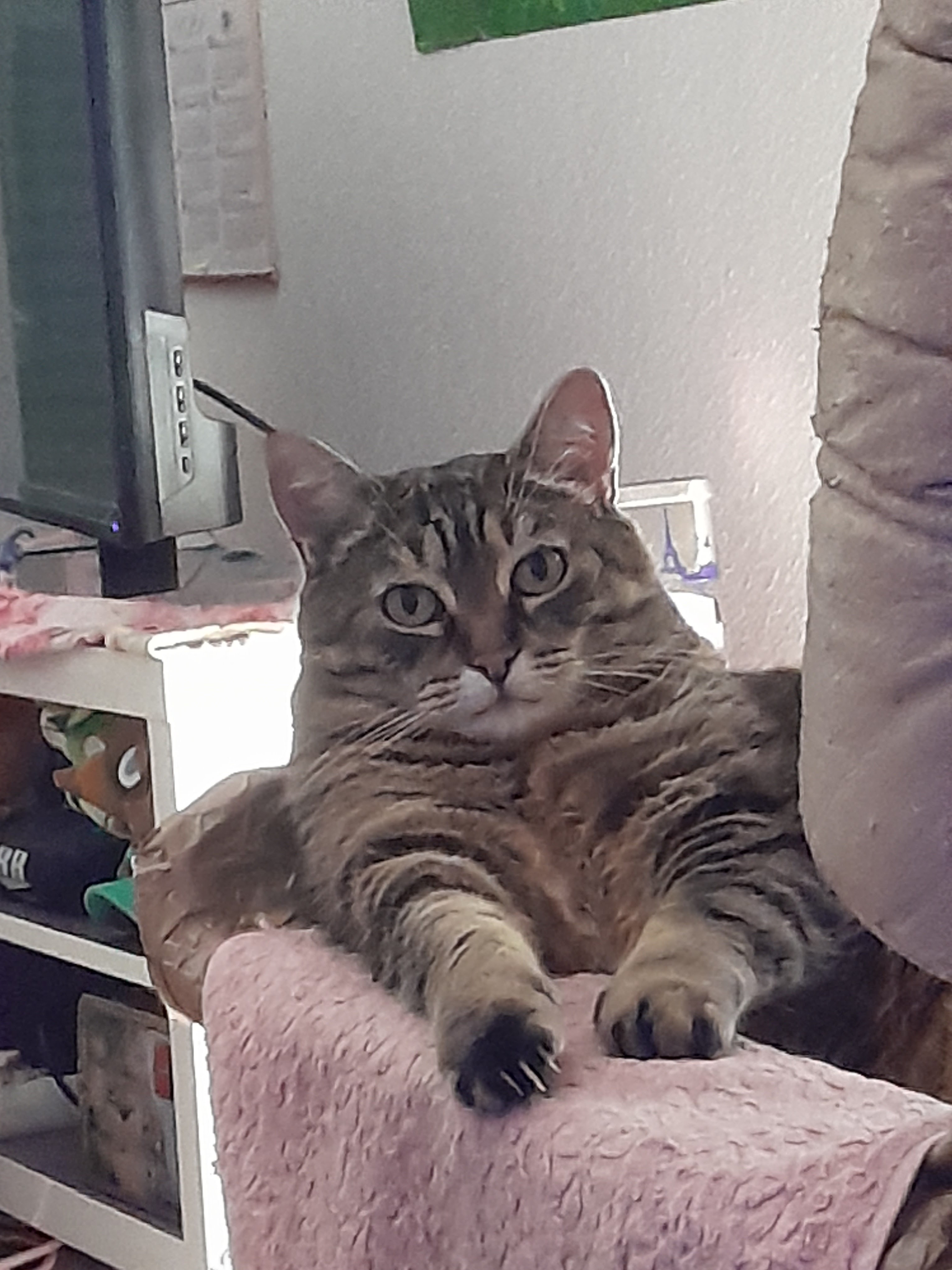 Photo n° 1 de l'avis de Cyril.a fait le 24/11/2022 à 13:53