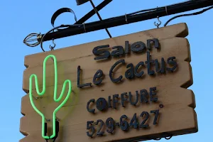 Salon Le Cactus image