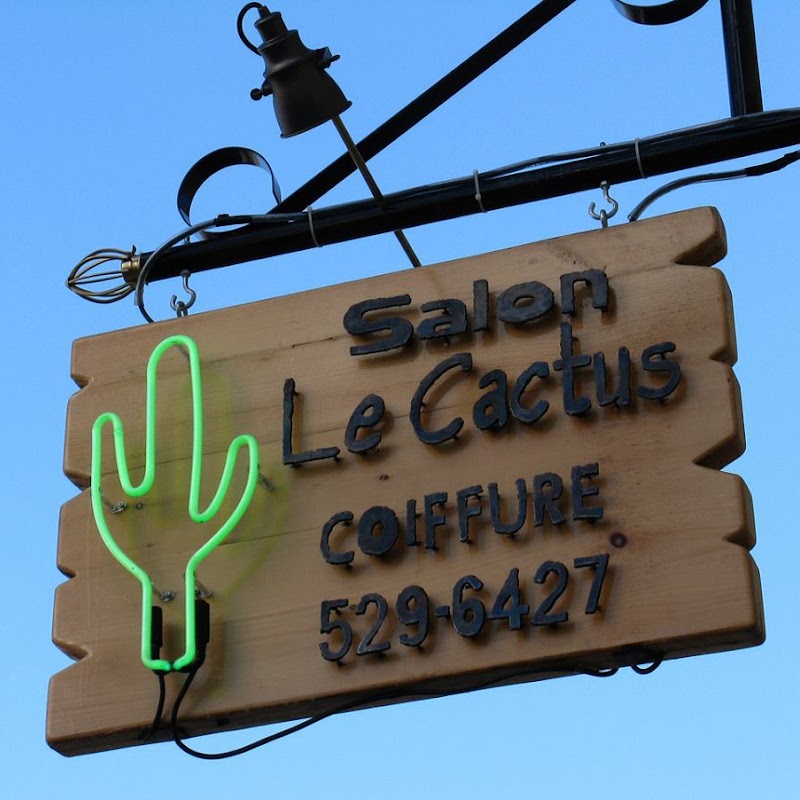 Salon Le Cactus