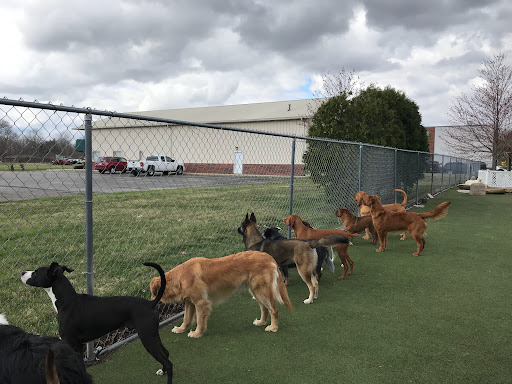 Pet Store «Happy, Clean and Smart», reviews and photos, 5700 W Kilgore Ave, Muncie, IN 47304, USA